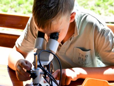 ASCII                                       