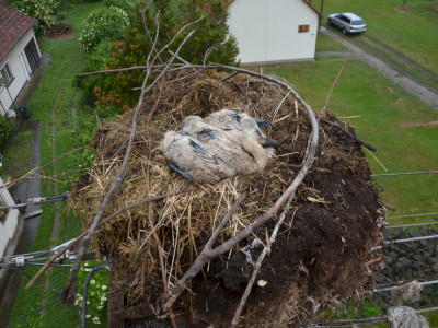 ASCII��� �����������������������������������