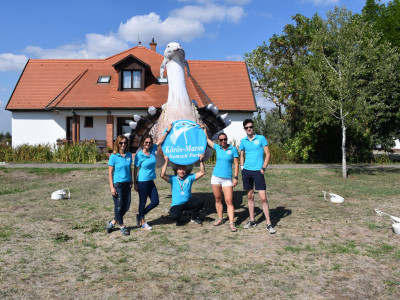 ASCII                                       