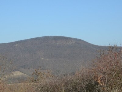 ASCII                                       