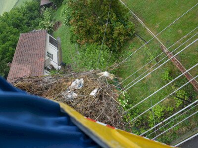 ASCII��� �����������������������������������