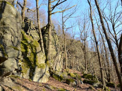 ASCII                                       