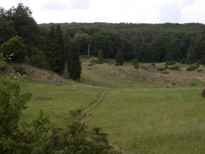 ASCII                                       