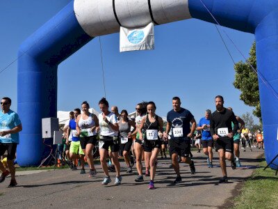 ASCII                                       