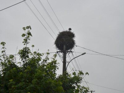 ASCII��� �����������������������������������