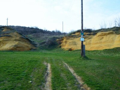 ASCII                                       