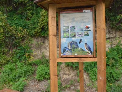 ASCII                                       