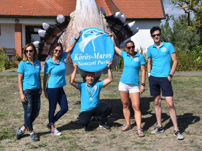 ASCII                                       