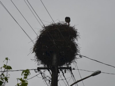 ASCII��� �����������������������������������