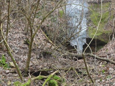 ASCII                                       