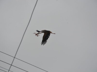 ASCII��� �����������������������������������