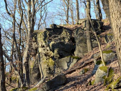 ASCII                                       