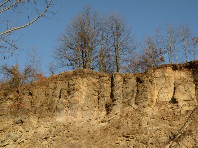 ASCII                                       