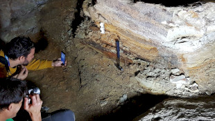 A supervolcanic eruption destroyed the Miocene Park