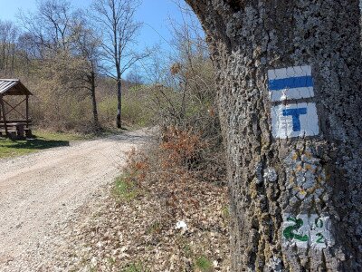 IMG_20250403_130711