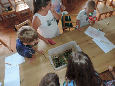                                                                                                                                 