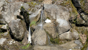 Bér
