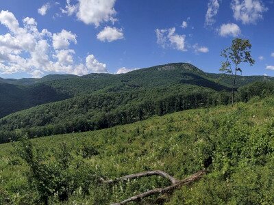 PANO_20200630_150710