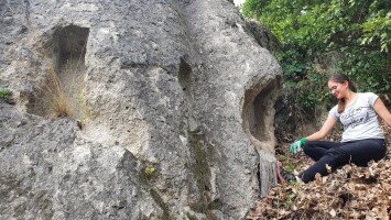 Bükki Nemzeti Park Igazgatósága, Magyar Nemzeti Parkok Hete, Kulturális Örökség Napjai, Szomolyai Kaptárkövek, Ridegtartás, Gulya, Felnémeti pincevár, tájszépítés, természetvédelem