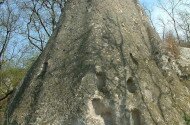 Cserépváralja - Mangó-tető