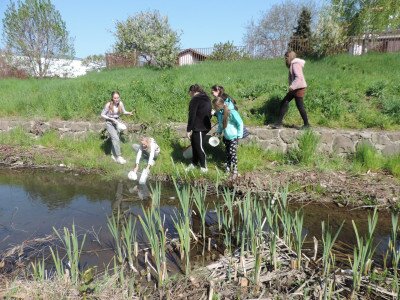                                                                                                                                 