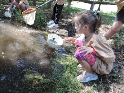                                                                                                                                 