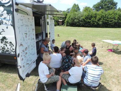                                                                                                                                 