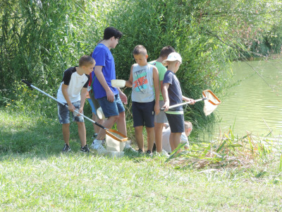                                                                                                                                 