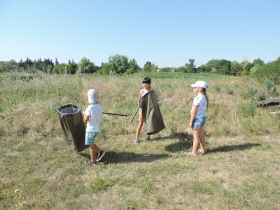                                                                                                                                 