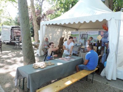                                                                                                                                 