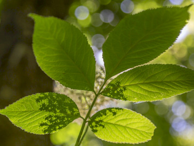 448306286_880542424116398_4762055673574914826_n_1920