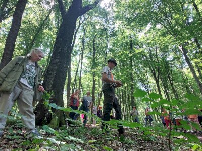 20240615_143630_1920