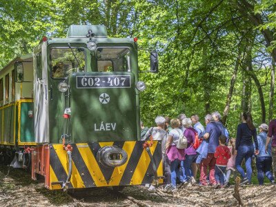 448164426_880542314116409_3016586346082012355_n_1920