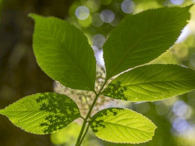 448306286_880542424116398_4762055673574914826_n_1920