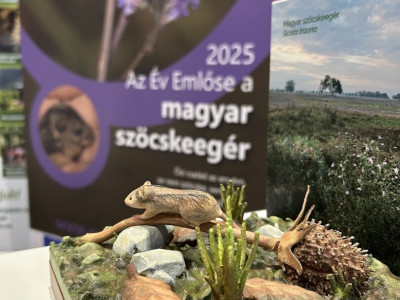 480967134_1061283622708943_416380611957054219_n_1080