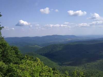 IMG_20230622_160248