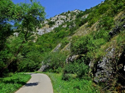 P1050956