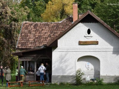 Pasztor Zoltan_240930_1