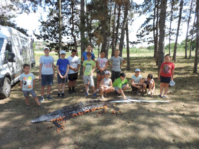                                                                                                                                 