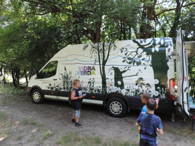                                                                                                                                 