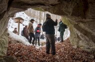Februári fatörzsbarlang túra a miocén ősvilágba határon innen és túl
