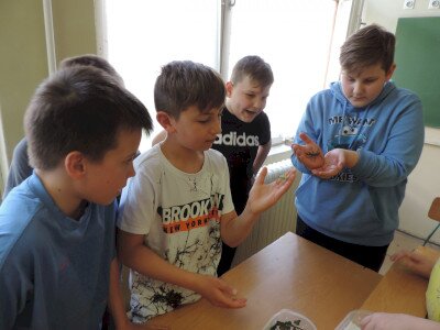                                                                                                                                 