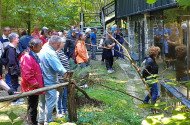 Föld napi barangolás a Miocén Ősvilágban