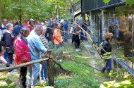Föld napi barangolás a Miocén Ősvilágban