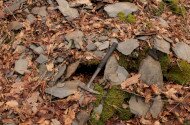 Földtani barangolások geotúra-sorozat III. - Geotúra a Zsindelybánya-lápa térségében