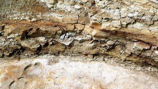 Geodiversity and Geotop Days at the Nograd Geopark