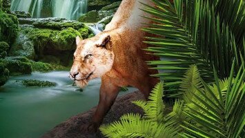 Geopark és a Miocén ősvilág szelleme Ipolytarnócon - tematikus túra