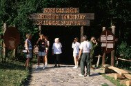 Ipolytarnóci ősmaradványok - 17 millió éves lábnyomok