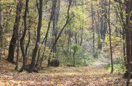 Náučný chodník Felsőtárkány – Vár-hegy 