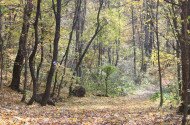 Náučný chodník Felsőtárkány – Vár-hegy 
